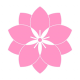 blossom blossom